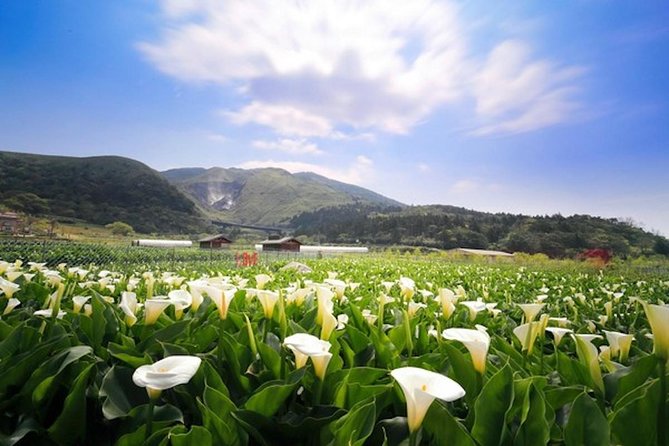Private Yangmingshan & Beitou Tour from Taipei with Pickup - Yangmingshan National Park: volcanic hills above Taipei