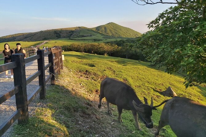 Private Yangmingshan National Park Hiking Day Tour from Taipei - What the guides add to the day