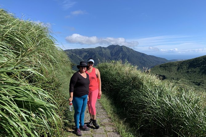Private Yangmingshan Volcano Tour - Qixing Mountain is optional, but not casual