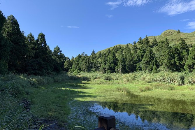 Private Yangmingshan Volcano Tour - The best guides do more than drive