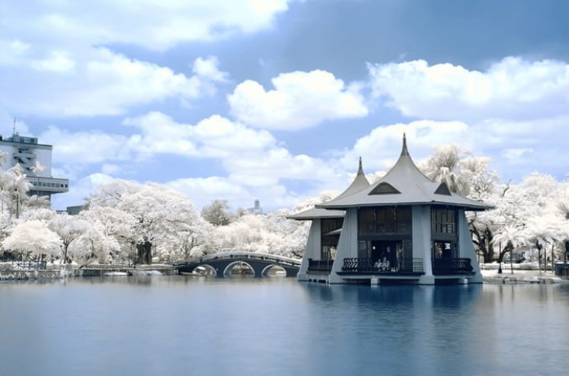 Taichung City: Sightseeing Walking Tour with a Local Guide - National Taichung Theater: a striking place to begin