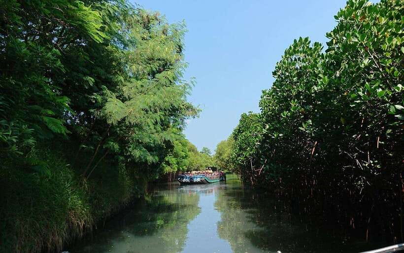 Tainan: Sicao Green Tunnel Scenic Boat Ride - Entering Sicao Green Tunnel by Small Fishing Raft