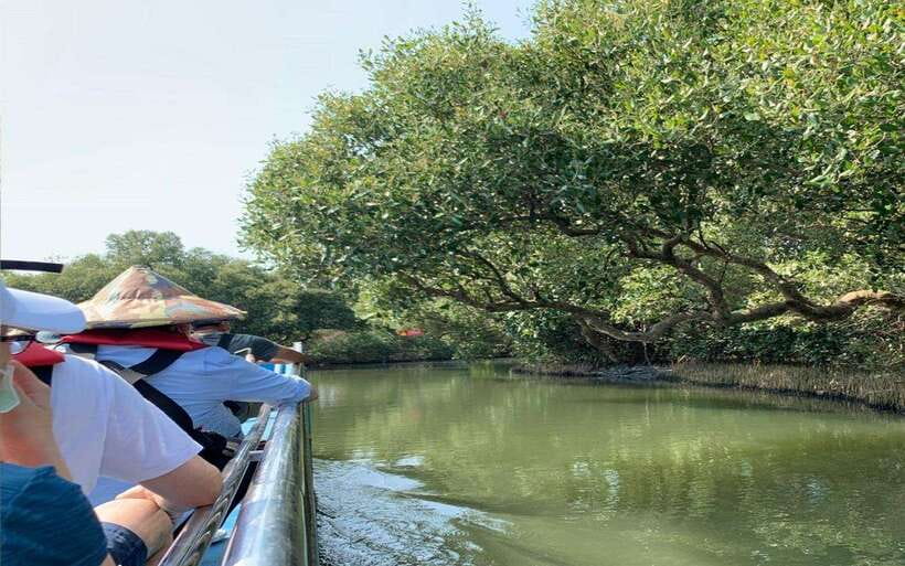 Tainan: Sicao Green Tunnel Scenic Boat Ride - The Mangrove Route and Its Named Sights