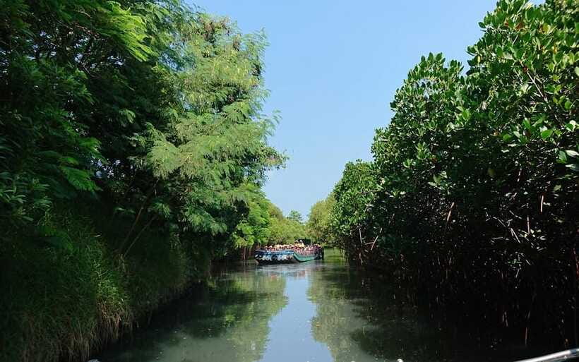 Tainan: Sicao Green Tunnel Scenic Boat Ride - The Milkfish Theme Pavilion and Yu-Guang Pastry