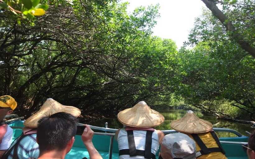 Tainan: Sicao Green Tunnel Scenic Boat Ride - Is the $9 Price Good Value?