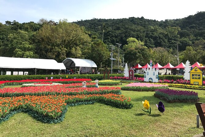 Taipei Cherry Blossom Day Tour to Yangmingshan and Tamsui - Tian Yuan Temple and the spring postcard view