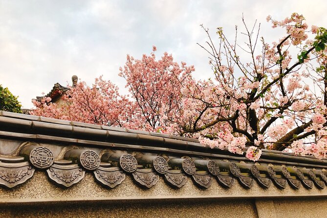 Taipei Cherry Blossom Day Tour to Yangmingshan and Tamsui - Meeting in central Taipei