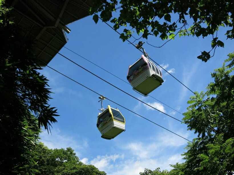 Taipei: Maokong Cable Car 1 day Pass - Tea plantations and teahouses give the ride a local focus