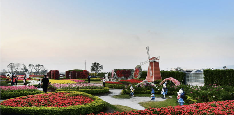 Taipei-Taichung-Taipei Private day trip - Key points to know before you book