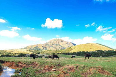 Yangmingshan & Beitou Full-Day Tour