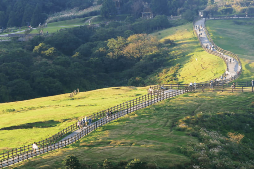 Taipei: Yangmingshan & Beitou Full-Day Tour - Sulfur Valley shows Beitou’s natural power