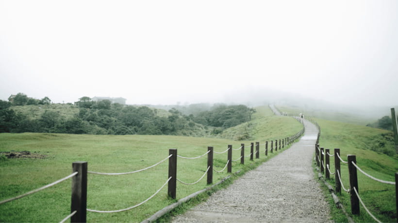 Taipei: Yangmingshan National Park Half-Day Tour - Guide quality can shape the whole outing