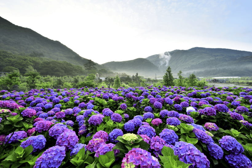 Taipei: Yangmingshan, Shifen, Jiufen & Yehliu Private Tour - Private guiding and the value of the $211 price