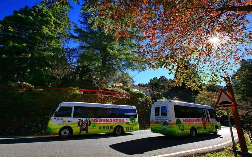 Taiwan: Alishan National Forest Recreation Area E-ticket - The two electric bus routes