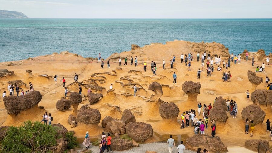 Taiwan Taipei: Customized Private Tour - Accessibility and pickup details that matter