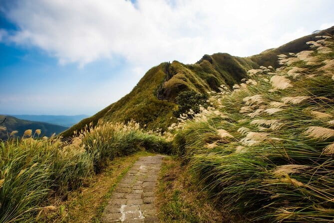 Taiwan TST : Private Tour Taipei, Yangmingshan, Beitou, Tamsui - Yangmingshan gives you the day’s fresh air