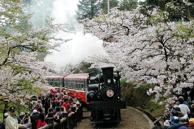 Two-day Sun Moon Lake & Alishan Forest Park Tour Package - Day 1: Sun Moon Lake and the Thao homeland