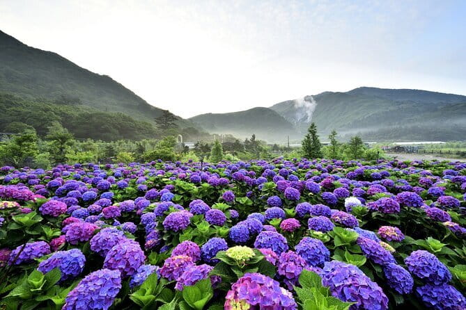 Yangmingshan, Yehliu, Jiufen & Shifen Private Tour From Taipei - Yangmingshan’s sulfur vents and mountain air